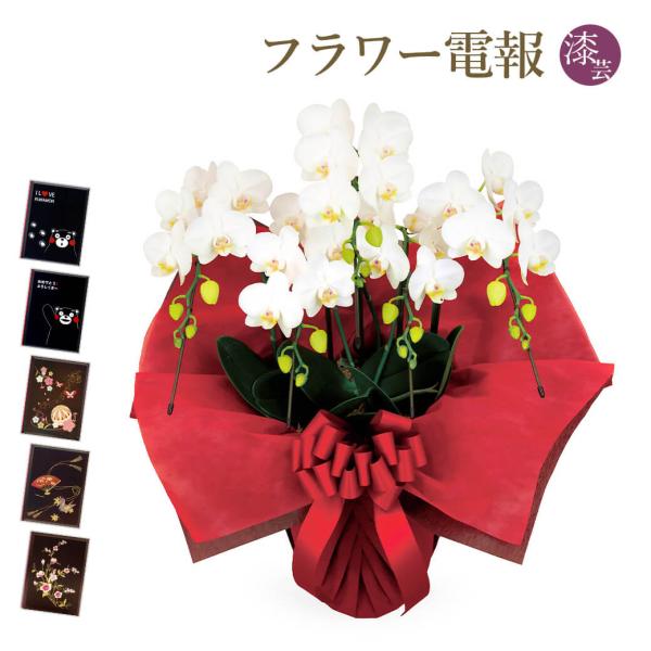 ミディ胡蝶蘭 ５本立 白 漆芸電報セット お祝い ギフト 電報 結婚式 結婚祝い 祝電 誕生日 成人...