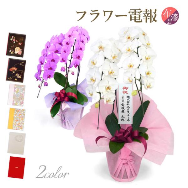 大輪胡蝶蘭 ２本立 ハイグレード 白/ピンク 漆芸電報セット お祝い ギフト 電報 結婚式 祝電 誕...