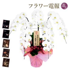 大輪胡蝶蘭 ５本立 ハイグレード 白 漆芸電報セット お祝い ギフト 電報 結婚式 祝電 誕生日 合格祝い 卒業式 卒園 入学祝い 開業 開店祝い 当選