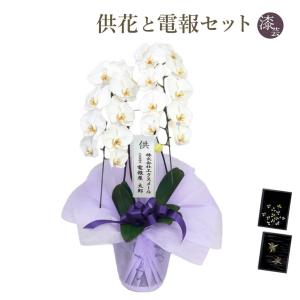 お供え 大輪胡蝶蘭 2本立 ハイグレード 白 24輪以上 お供え花