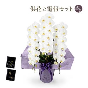 お供え 大輪胡蝶蘭 3本立 ハイグレード 白 36輪以上 お供え花