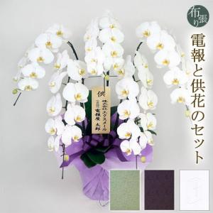 お供え 大輪胡蝶蘭 ５本立 ハイグレード 白 布張りカード電報セット リバティ 弔電 花 フラワー 供花 仏花 生花 お悔やみ 葬儀 告別式 法要 法事 一周忌