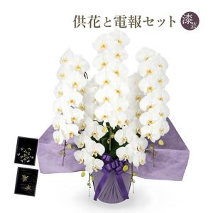 お供え 大輪胡蝶蘭 ５本立 ハイグレード 白 漆芸電報セット 弔電 花 フラワー 供花 仏花 生花 お悔やみ 葬儀 告別式 法要 法事 一周忌 お彼岸