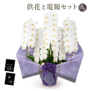 お供え 大輪胡蝶蘭 ５本立 プレミアム 白 漆芸電報セット 弔電 花 フラワー 供花 仏花 生花 お悔やみ 葬儀 告別式 法要 法事 一周忌 お彼岸