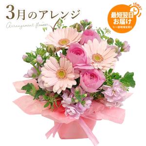 フラワーギフト 「今月のアレンジ」 (電報なし) お祝い 花 ギフト 誕生日 プレゼント 女性 結婚式 記念日 成人式 成人祝い 2026 合格祝い 開業 開店