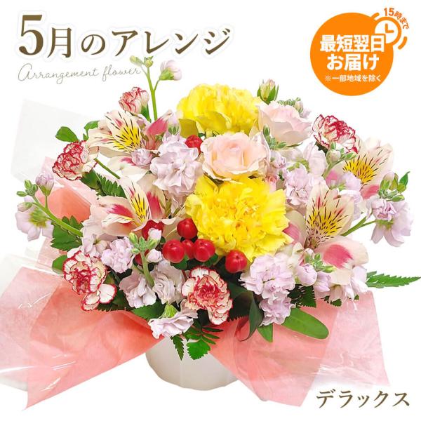 フラワーギフト 「今月のアレンジデラックス」 (電報なし) お祝い 花 ギフト プレゼント 女性 結...