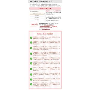 祝電 「ハーバリウムアレンジ ペンダント アリ...の詳細画像5