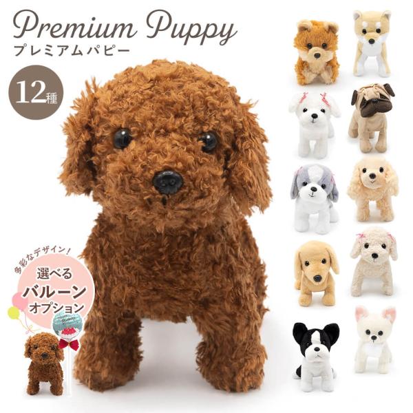 ぬいぐるみ「プレミアムパピー」(電報なし) お祝い ギフト プレゼント バルーン電報 かわいい 犬 ...