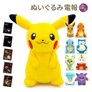 ぬいぐるみ マンスリーピカチュウ 2015年5月 ポケモンセンター限定 ポケモン ヌイグルミ ポケモンセンター限定 マンスリー