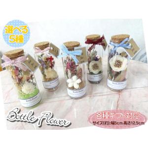 ボトルフラワー　ドライフラワー　ソラフラワー　フラワーギフト　ガラス瓶　フラワーアレンジ　ブーケ　花...