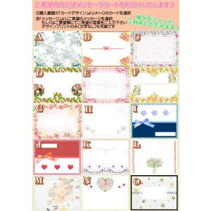 ANYADHARU アンヤダル オリジナル パ...の詳細画像3