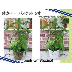 鉢カバー プランターカバー バスケット カゴ 丸正 おしゃれ 5寸 5号鉢サイズ ブラウン ホワイト Ppp Ex Mart 通販 Yahoo ショッピング