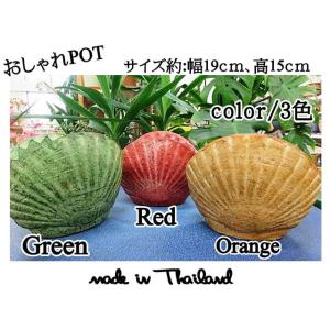 植木鉢　鉢　プランター　おしゃれポット　ポット　受け皿なし　シェル型　貝　おしゃれ　可愛い