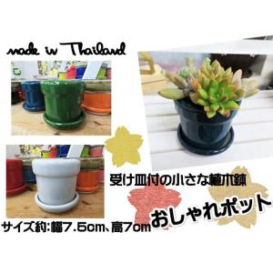 植木鉢　鉢　プランター　おしゃれポット　ポット　MINI　ミニ　筒型　単色　無地