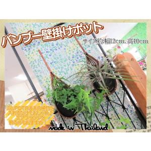 バンブー壁掛けポット　ハンギング　竹　天然素材　カゴ　ポリポットカバー　エアプランツ　おしゃれ　アジ...