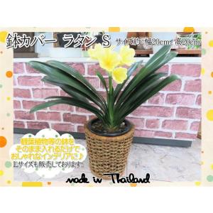 鉢カバー　プランターカバー　ラタン S　カゴ　天然素材　おしゃれ　インテリア