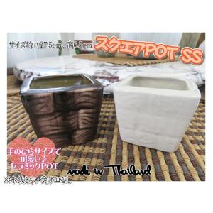 植木鉢　鉢　プランター　鉢カバー　スクエアポット SS　水抜き穴なし　受け皿なし　エアプランツ　セラ...