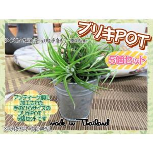 植木鉢　鉢　プランター　鉢カバー　ブリキPOT　5個セット　セット売り　バケツ　ミニ　水抜き穴なし　...