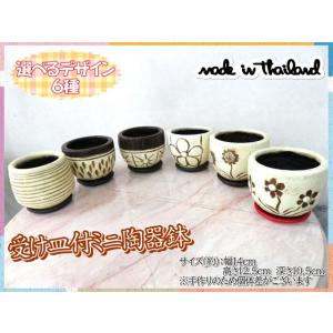 植木鉢　鉢　プランター　受け皿付　丸型　ミニ植木鉢　ポット　セラミック　陶器　おしゃれ　6種　ホワイ...