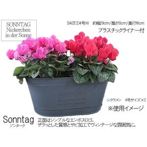 植木鉢 ハウスプランツブリキ 直径29×13cm （ 植木鉢カバー  植物用ポット 花器 鉢カバー ...