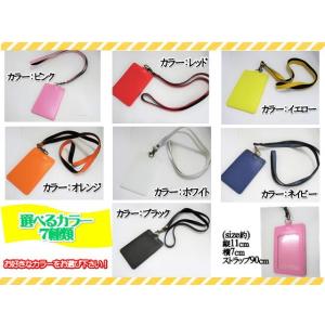 ケース　縦型　カードフォルダー　カードホルダー　カードケース　パスケース　無地　シンプル　