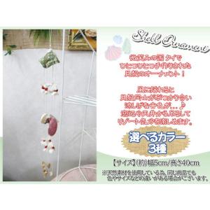 貝製品 Shell シェル 貝殻 オーナメント アレンジ デコレーション 14