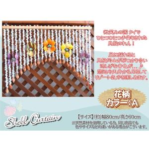 貝製品 Shell シェル 貝殻 オーナメント アレンジ デコレーション 35.5