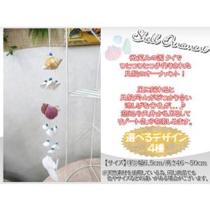 貝製品 Shell シェル 貝殻 オーナメント アレンジ デコレーション 14