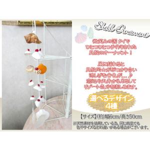 貝製品 Shell シェル 貝殻 オーナメント アレンジ デコレーション 14