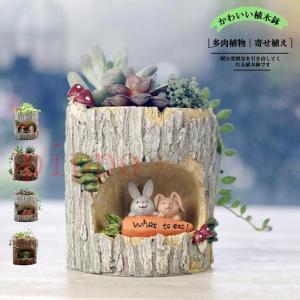 鉢 植木鉢 多肉植物 寄せ植え 小動物 かわいい 装飾 フラワーポット ガーデンポット サボテン プランター 箱庭 ガーデン おしゃれ 飾り プレゼント