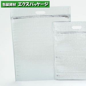 ○保冷平袋 封筒型 テープ付 S XZVMR024 500枚 ケース販売 納期1週間