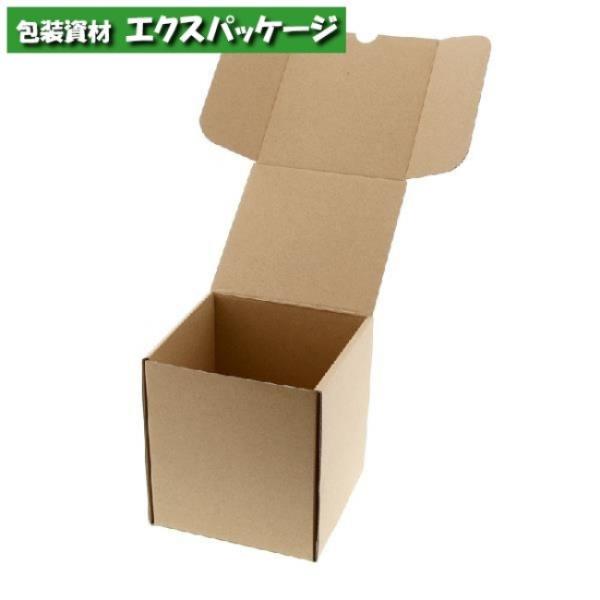 ナチュラルボックス　ナチュラルBOX　組立式　Z-28　CD10枚収納　10枚入　#00620281...