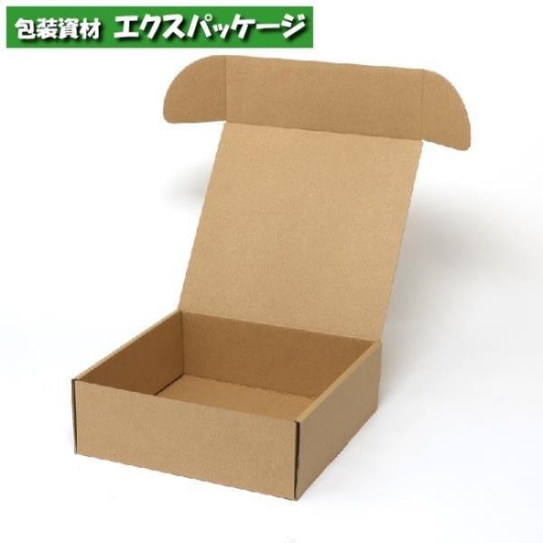 ナチュラルボックス　ナチュラルBOX　組立式　Z-22　プレート6枚用　10枚入　#00620221...