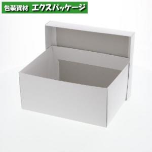 白無地箱　B-1　エスプリボックス　組立　10枚入　#006893500　バラ販売　取り寄せ品　シモジマ｜expackage