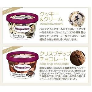ハーゲンダッツ アイスクリーム 10個 バラエ...の詳細画像2