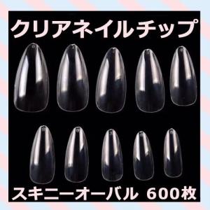 ネイルチップ 付け爪 練習 初心者 スキニー オーバル