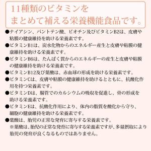 DHC マルチビタミン 60日の詳細画像2