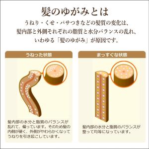 ディアボーテ ひまわり オイルインシャンプー ...の詳細画像2