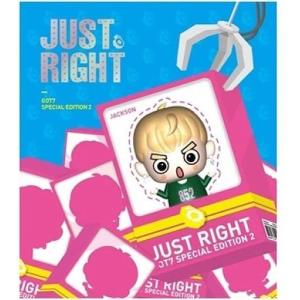 GOT7 Special Edition USB Album 2 - Just Right YU GYEOM Ver 韓国盤