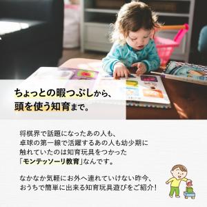 立体パズル 脳トレ 知育 2個セット 暇つぶし...の詳細画像1