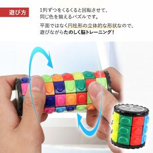 立体パズル 脳トレ 知育 2個セット 暇つぶし...の詳細画像5