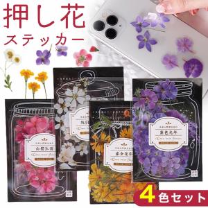 ステッカー 花 4色セット かわいい リアル シール ボタニカル