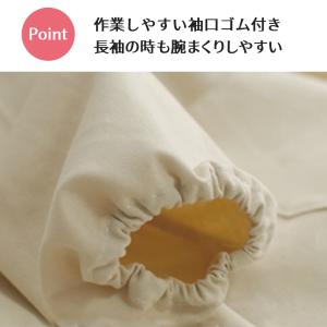割烹着 エプロン カラー かっぽうぎ 可愛い ...の詳細画像5