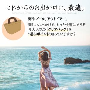 【訳あり】 クリアバッグ ビニールバッグ プー...の詳細画像1