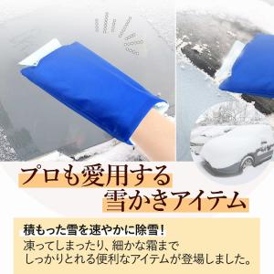 雪かき 雪落とし 氷 雪 霜取りヘラ 除去 除...の詳細画像2