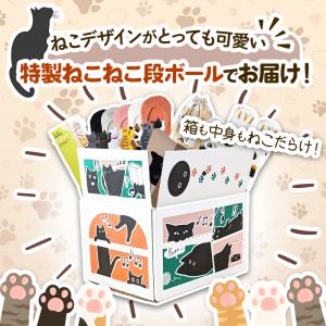 福袋 2026 令和8年 猫 ねこ グッズ 財...の詳細画像2