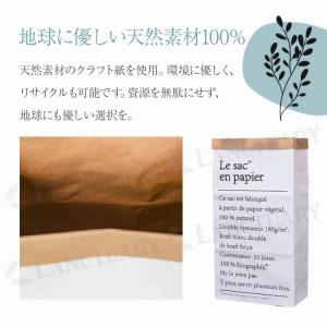 ペーパーバックストレージ 紙袋 収納ボックス ...の詳細画像3