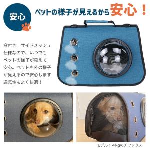 ペット キャリー 2way 肩掛け 手持ち 窓...の詳細画像2