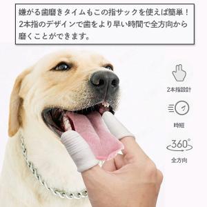 ペット用歯ブラシ 10個入り 歯みがき 指サッ...の詳細画像5