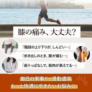 膝サポーター スポーツ 高齢者 スポーツ用 ス...の詳細画像1